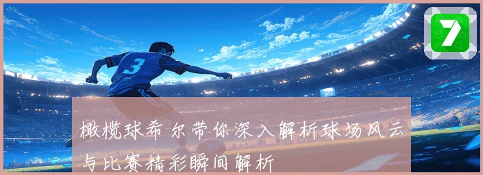 橄榄球希尔带你深入解析球场风云与比赛精彩瞬间解析
