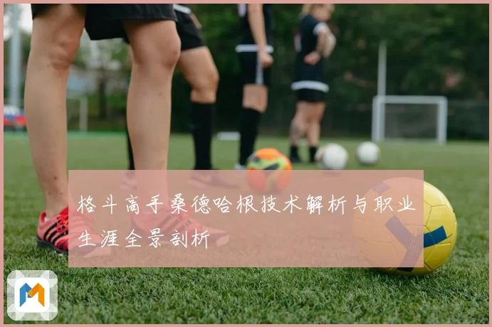 格斗高手桑德哈根技术解析与职业生涯全景剖析