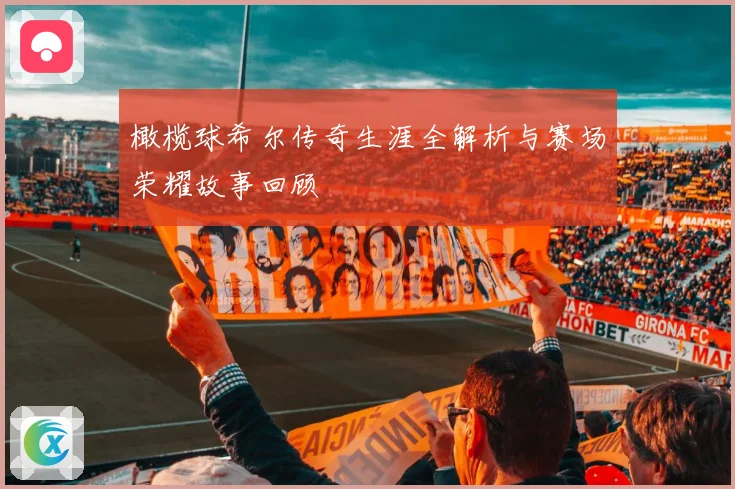 橄榄球希尔传奇生涯全解析与赛场荣耀故事回顾