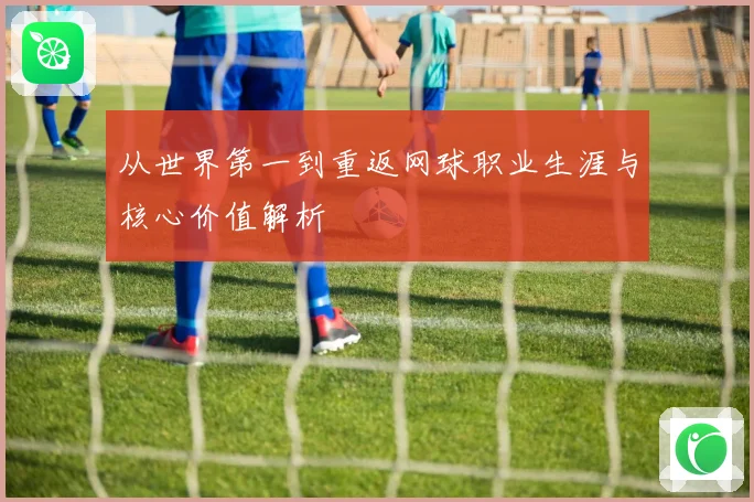 从世界第一到重返网球职业生涯与核心价值解析