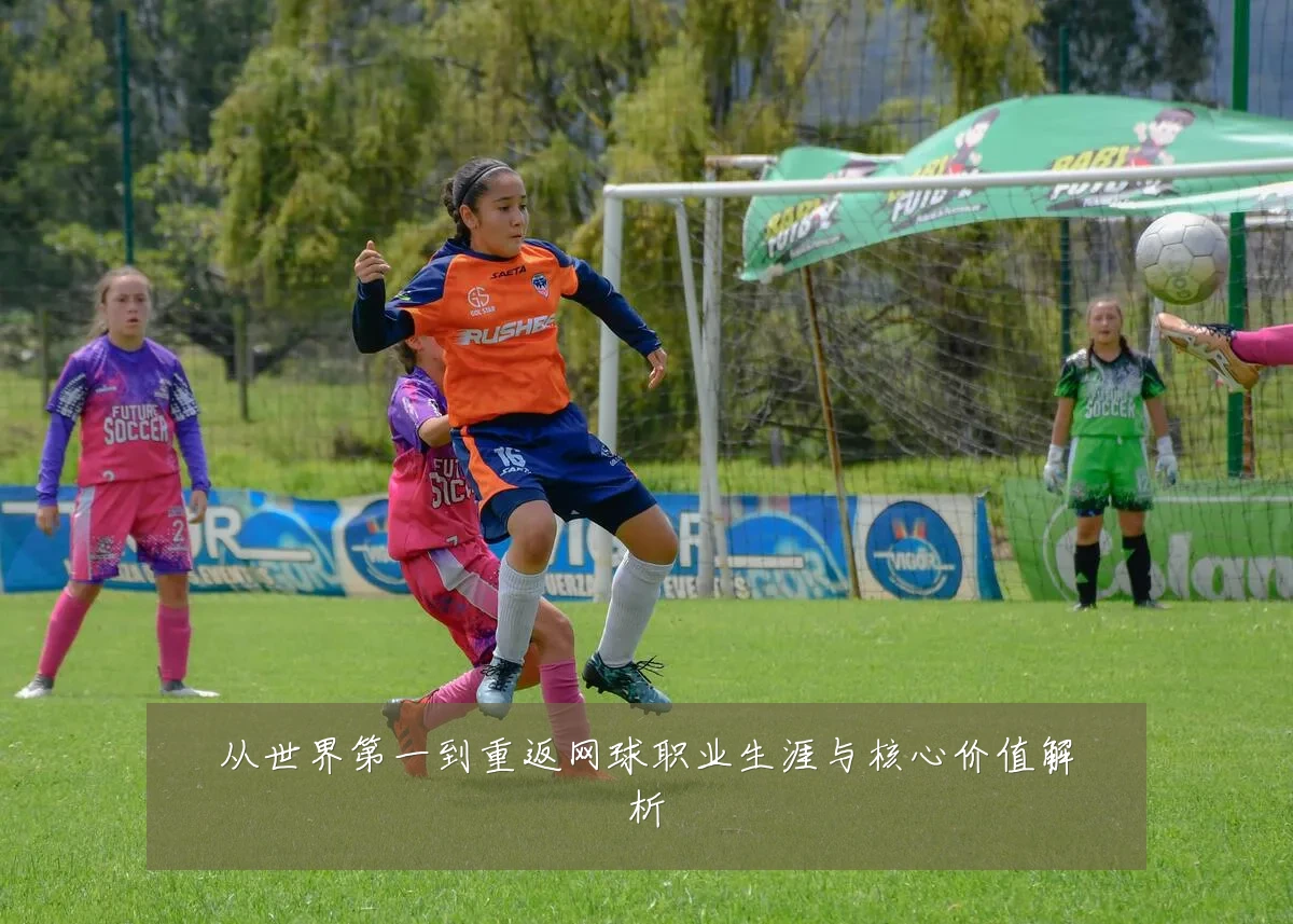 从世界第一到重返网球职业生涯与核心价值解析